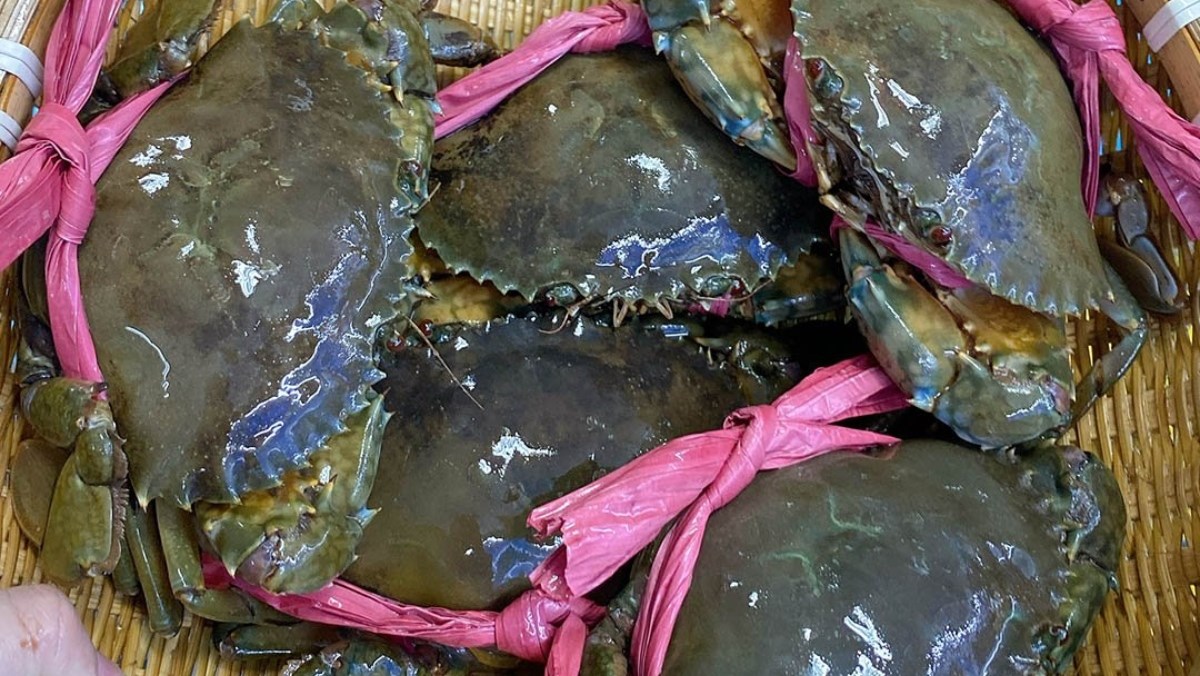 Cua Sống