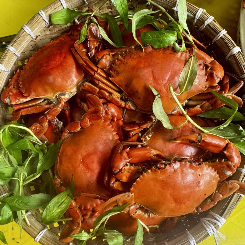 Cua thịt hấp StarCrab