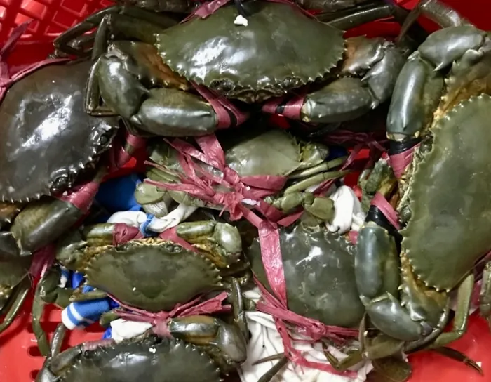 Cua sống tại StarCrab