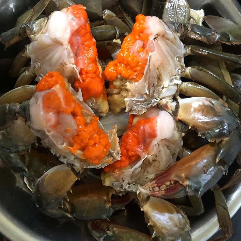 Cua gạch sống